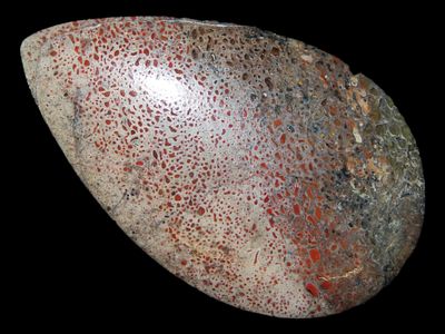 1 1/2” Dinosaur Bone Polished Cabochon