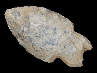 2 3/8” Rice Lobe Point, Early Archaic, 7500-6000 BC, Fort Payne Chert, Warren Co., Kentucky