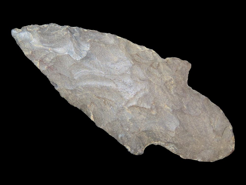 2 3/4” Turkeytail Arrowhead
