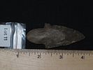 2 3/4” Turkeytail ArrowheadImage - 5