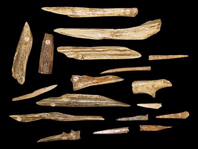 16 Bone Awls, Deer Tine Flakers