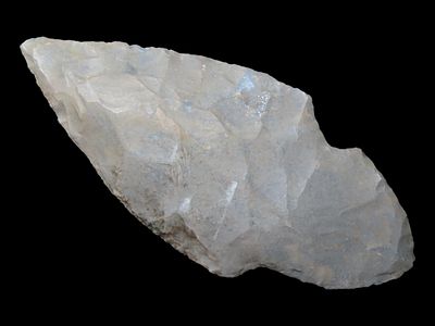 2 1/2” Turkeytail Arrowhead