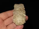 Lot of Two, Archaic Blade and Woodland PointImage - 4