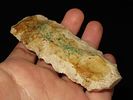 Lot of Two, Archaic Blade and Woodland PointImage - 5