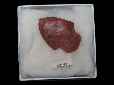 1 7/8” Adena Type, Montana