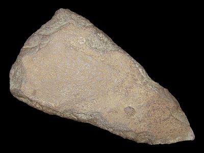 6 3/4” Spade, Native American, Found in Lee County, Mississippi