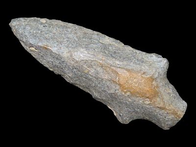 3 1/4” Pickwick Point, Fossiliferous Chert, Middle Archaic, 4000-2500 BC, Warren Co., Kentucky