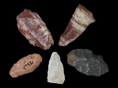 5 Projectile Points, C.E. Weymouth Ranch, Between Quarry Site & Lakes, Potter Co., Texas