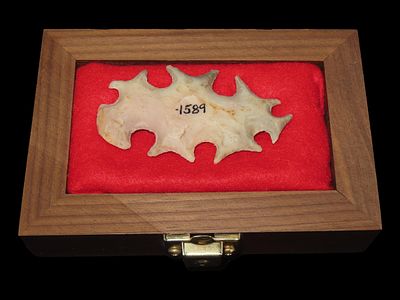 3 1/4” Ceremonial Eccentric with Frame, Texas