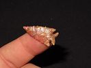1" Edwards Point, Matador Ranch, Punde Agua Creek, Hartley Co. TexasImage - 1