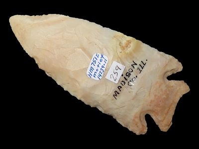 3 7/8” x 1 11/16” Ocala Point, Burlington Chert, Madison Co., Illinois, Motley COA