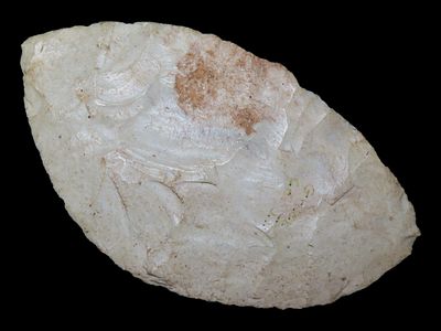 3 15/16” x 2 1/4” Early Ovoid Knife, Burlington Chert, Greene Co., Illinois, Motley COA