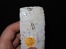 5 1/2” x 2” Stanfield Knife, White Burlington, Warsaw, Hancock Co., Illinois, American Image - 7