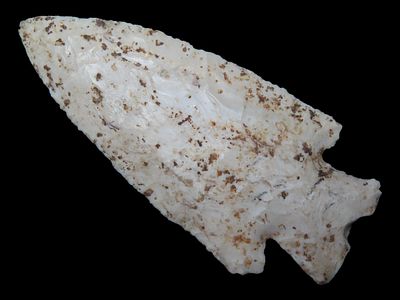 3 5/8” x 1 5/8” Hardin, Burlington Chert, Jersey or Madison Co., Illinois, Motley COA