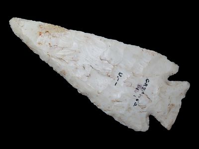 4 1/8” x 1 3/4” Hardin, Burlington Chert, Greene Co., Illinois, Motley COA