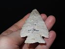 4 1/8” x 1 3/4” Hardin, Burlington Chert, Greene Co., Illinois, Motley COA, Ex. Herbert MangoldImage - 3