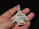 3 9/16” x 1 3/4” Smith Drill, Mozarkite/Jeff City Chert, Miller Co., Missouri, Ex. Tommy Image - 3