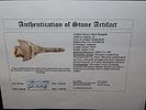 3 9/16” x 1 3/4” Smith Drill, Mozarkite/Jeff City Chert, Miller Co., Missouri, Ex. Tommy Image - 8