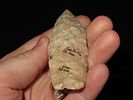 4 1/8” x 1 1/4” Sedalia, Burlington, Sedalia, Missouri, Ex. James Dethrow Collection, Ex. Image - 3