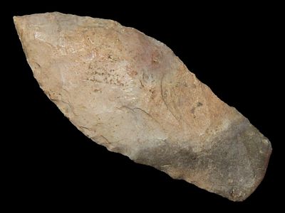 2 1/4” x 3/4” Sedalia