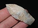 2 1/4” x 3/4” Sedalia, Ex. Herbert MangoldImage - 1