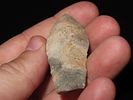 2 1/4” x 3/4” Sedalia, Ex. Herbert MangoldImage - 3