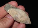 2 1/4” x 3/4” Sedalia, Ex. Herbert MangoldImage - 5