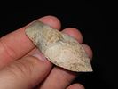 2 1/4” x 3/4” Sedalia, Ex. Herbert MangoldImage - 6