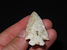 2 3/8” x 1” Corner Notch, Concave Base, Ex. Herbert MangoldImage - 4