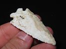 2 3/8” x 1” Corner Notch, Concave Base, Ex. Herbert MangoldImage - 5