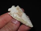 2 3/8” x 1” Corner Notch, Concave Base, Ex. Herbert MangoldImage - 6
