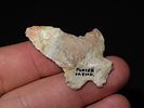 Group of 2 Fox Valley Points, Porter Co., Indiana, Ex. Herbert MangoldImage - 1