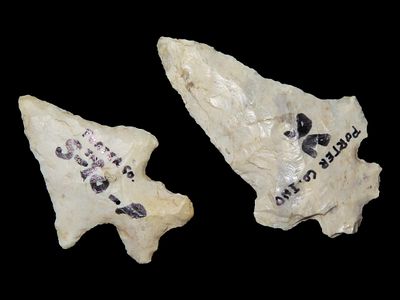 Group of 2 Arrowheads, Porter Co., Indiana