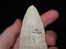 4 1/4” x 1 13/16” Pulaski, Burlington Chert, Pike Co., Illinois, Ex. Glen Leasman Collection Image - 6