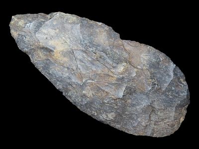 5 1/2” x 2 1/2” Blade, Coshacton, Mercer Co., Ohio
