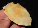2 5/8” x 1 1/2” Godar, Creek Stained Burlington, Montgomery Co., MissouriImage - 5