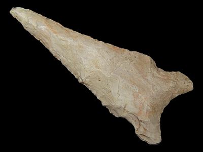 2 3/8” x 1 1/4” Graham Cave, Found by Adam Summers, Pike Co., Illinois