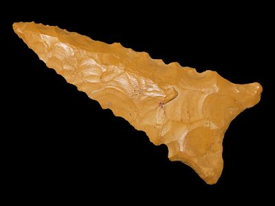 2 5/16” x 1” Dalton, Crowley’s Ridge Cobble Chert/Bailey, Izard Co., Arkansas, Ken Partain COA