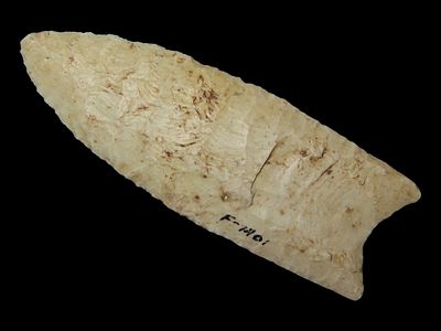 4 1/16” x 1 3/8” Paleo Fluted Clovis, Burlington Chert, Illinois, Ex. Charles Shewey, Jim 