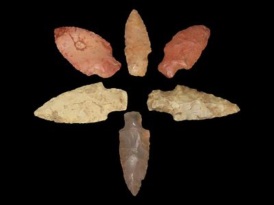 Grouping of Arrowheads from Mississippi