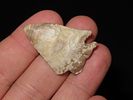 Grouping of 4 Arrowheads, Apple Creek Pts., Clark Co., IllinoisImage - 3