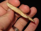 1 3/8” x 1 3/8” Knobbed Hardin, Pulaski Co., IllinoisImage - 2