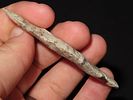2 7/8” x 1 1/8” Dickson Pt., Lima Lake, Adams Co., IllinoisImage - 2