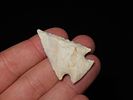 Grouping of 5 Arrowheads, Archaic and Woodland Points, Cooper Co., MissouriImage - 3