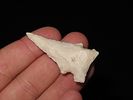 Grouping of 5 Arrowheads, Archaic and Woodland Points, Cooper Co., MissouriImage - 4