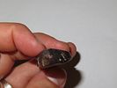 2 1/8” x 1” Hematite Celt, Lincoln Co., MissouriImage - 5
