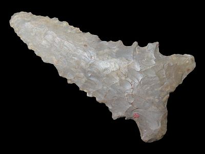 2 1/2” x 1 1/4” Adena Point, Pettis Co., Missouri