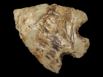 2 5/8” x 2 1/8” Snyder Point, Pike Co., Missouri