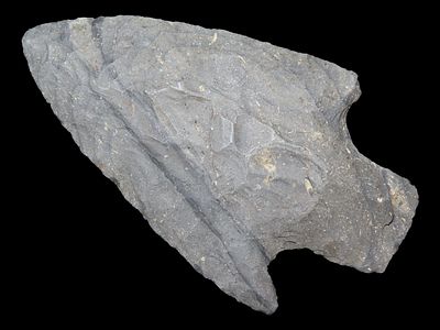 3 1/4” x 2” Dickson Point from Ohio