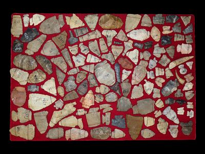 Frame of Archaic and Woodland Points from Michigan